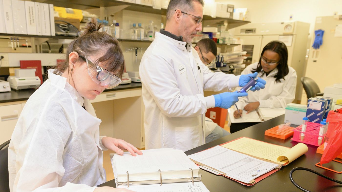 A researcher pipetting at a laboratory bench
